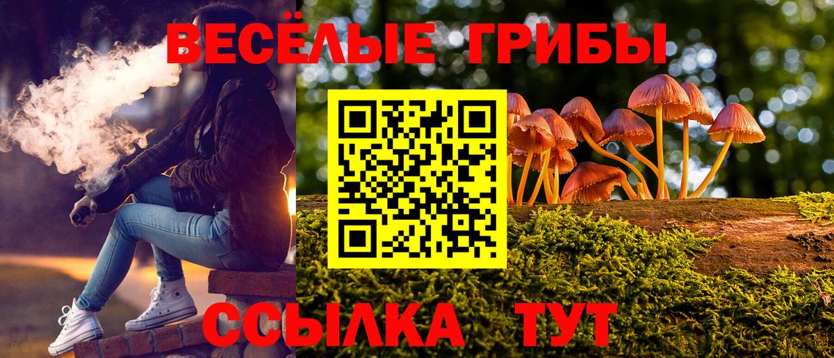 Кондопога  Галлюциногенные грибы ЛСД  наркота  Вход с VPN 